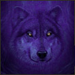 The_German_wolf